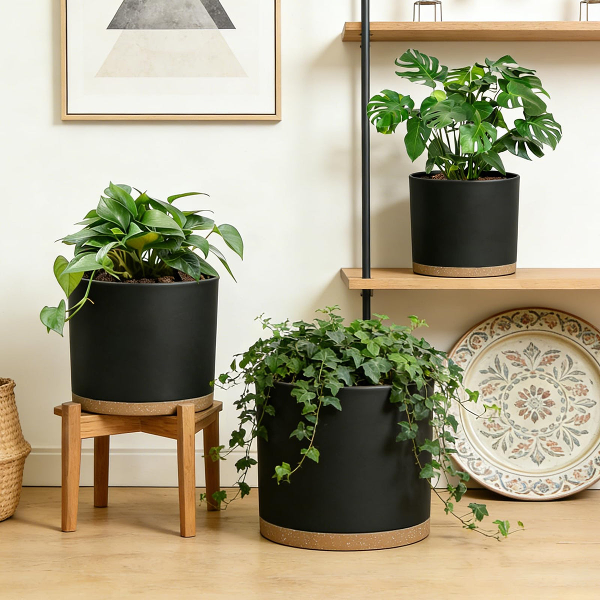 DGJDLWHX 9-inch black pot with drainage holes helps prevent root rot.