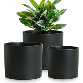 DGJDLWHX-black-brown pot offers sleek contrast for offices and balconies.