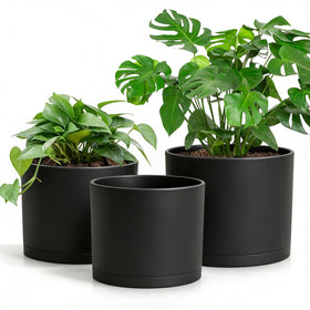 DGJDLWHX 8-inch plant pot with drainage keeps floors dry and supports large indoor plants.