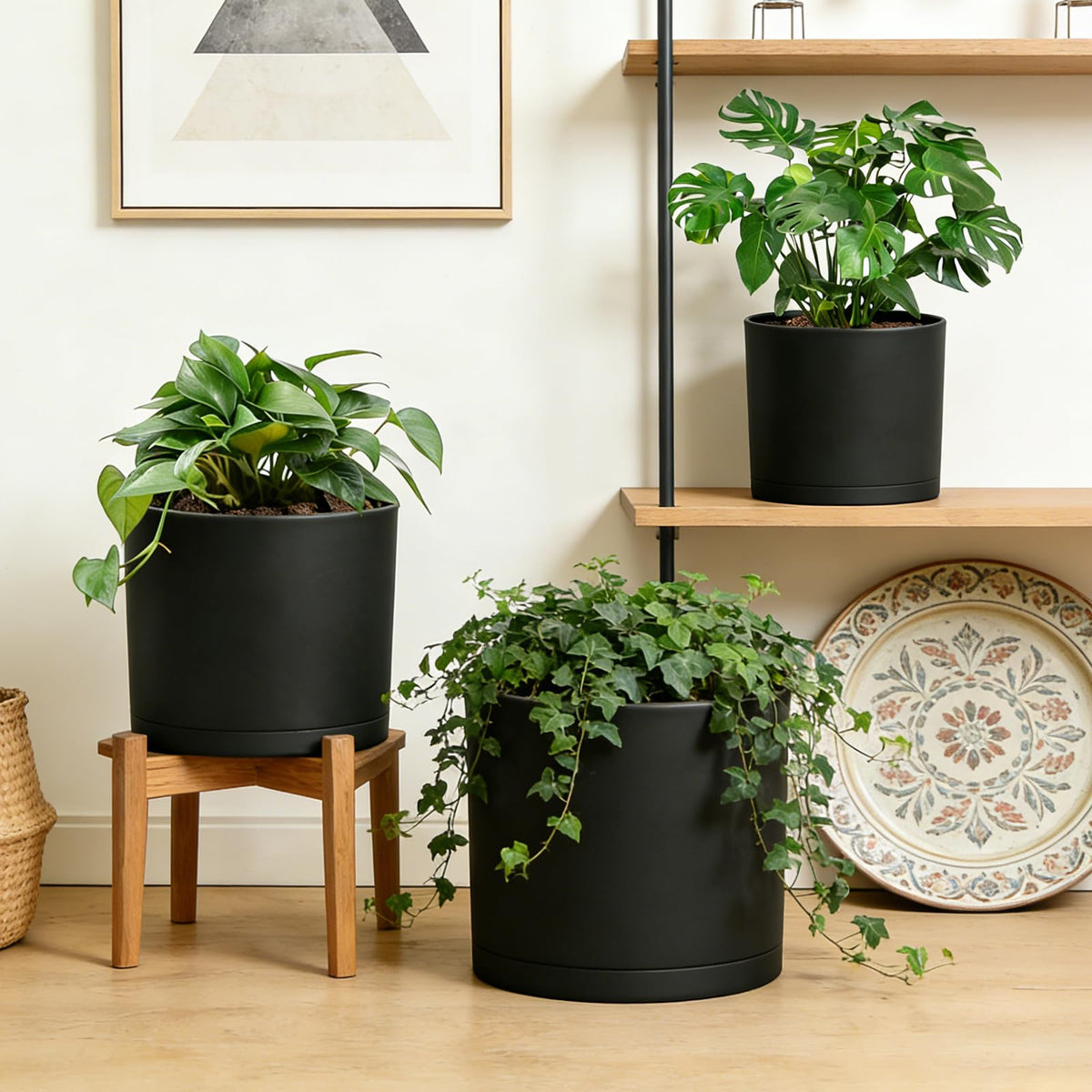DGJDLWHX 9-inch pot for sturdy mid-size plants with a removable saucer for easy cleanup.