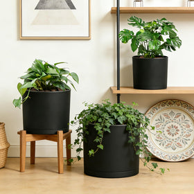 DGJDLWHX 9-inch pot for sturdy mid-size plants with a removable saucer for easy cleanup.