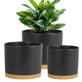 DGJDLWHX Monstera in a 9-inch pot for stylish indoor display.