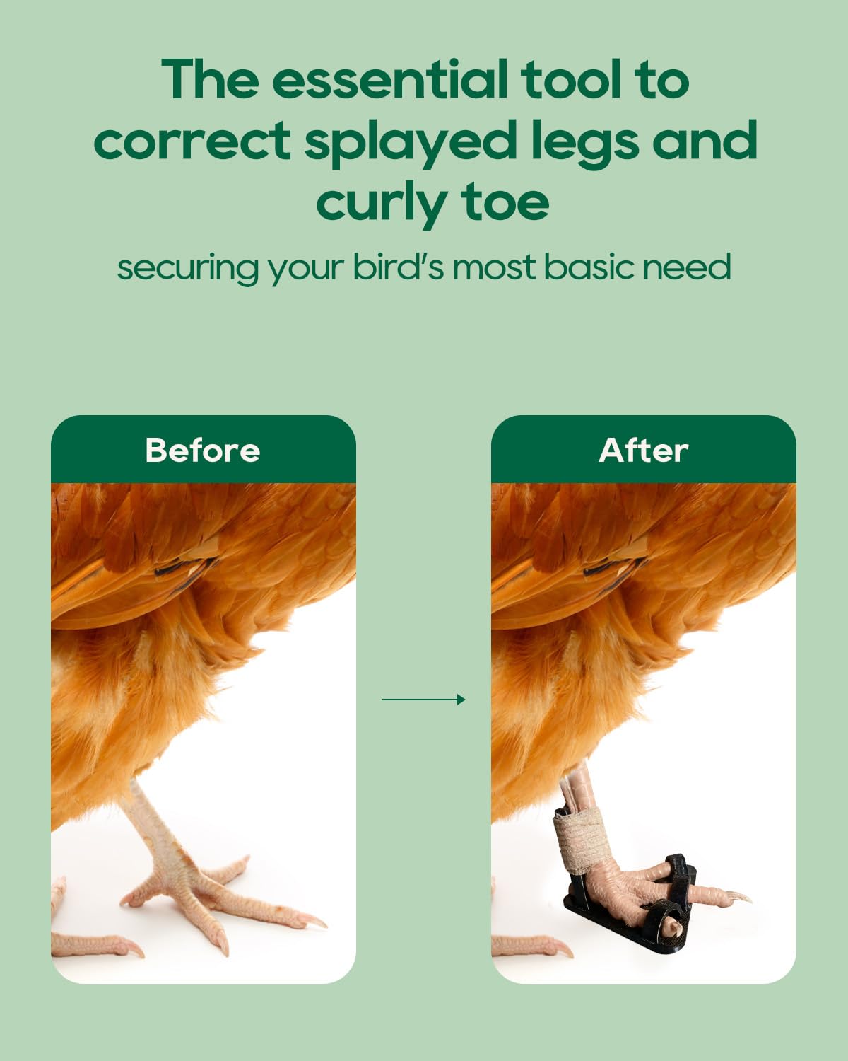 DHOEM chicken leg splint close-up demonstrates natural toe positioning for healing.
