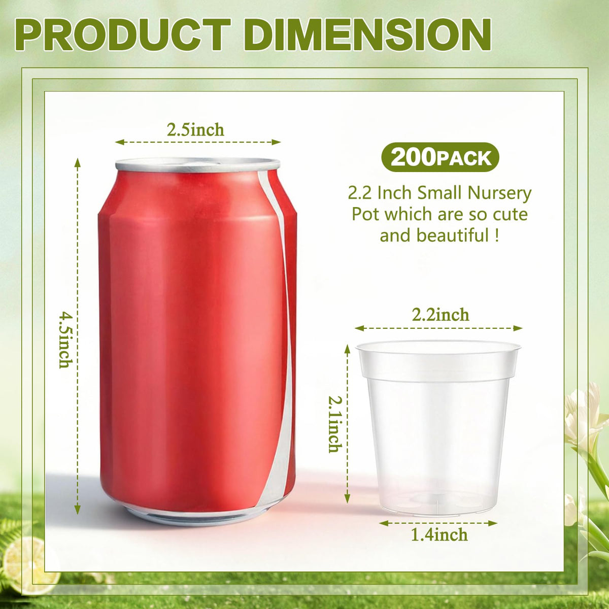 DI QIU REN 2-inch clear nursery pots stack neatly for compact propagation.