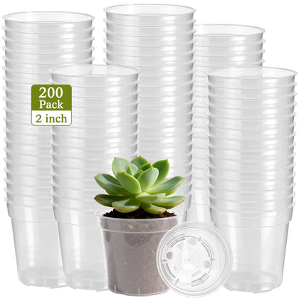 DI QIU REN 200-count clear plant pots with drainage holes promote healthy root growth.