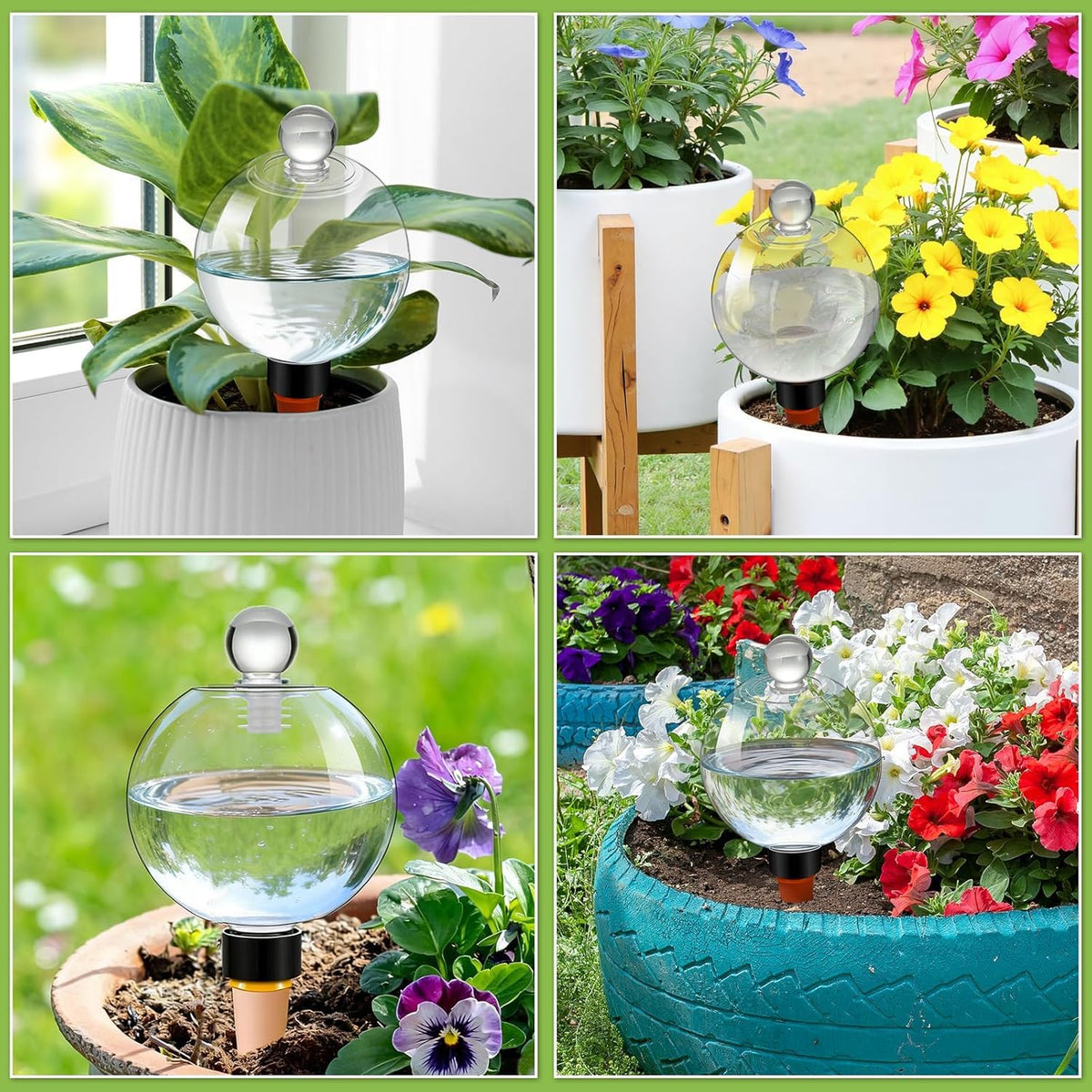 DI QIU REN BPA-free plastic offers durability for everyday plant care