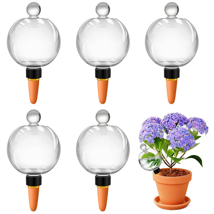 DI QIU REN six-pack globes in soil deliver steady indoor plant hydration