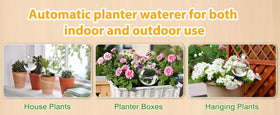 DI QIU REN self-watering bulbs simplify care during travel or busy weeks