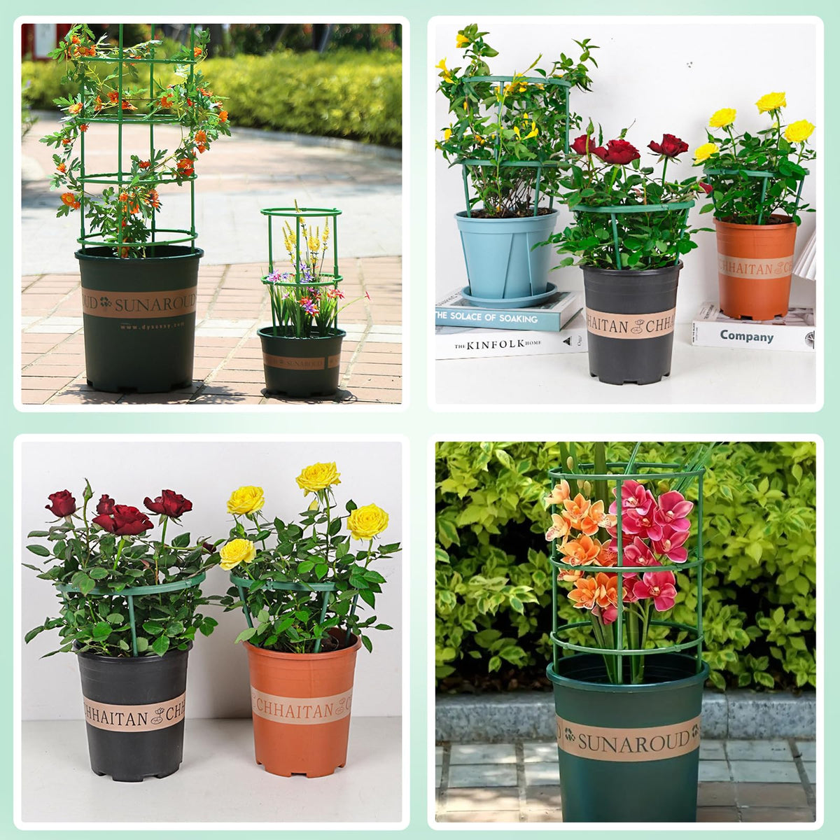 Indoor/outdoor plant supports blend with greenery for a natural look