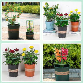 Indoor/outdoor plant supports blend with greenery for a natural look