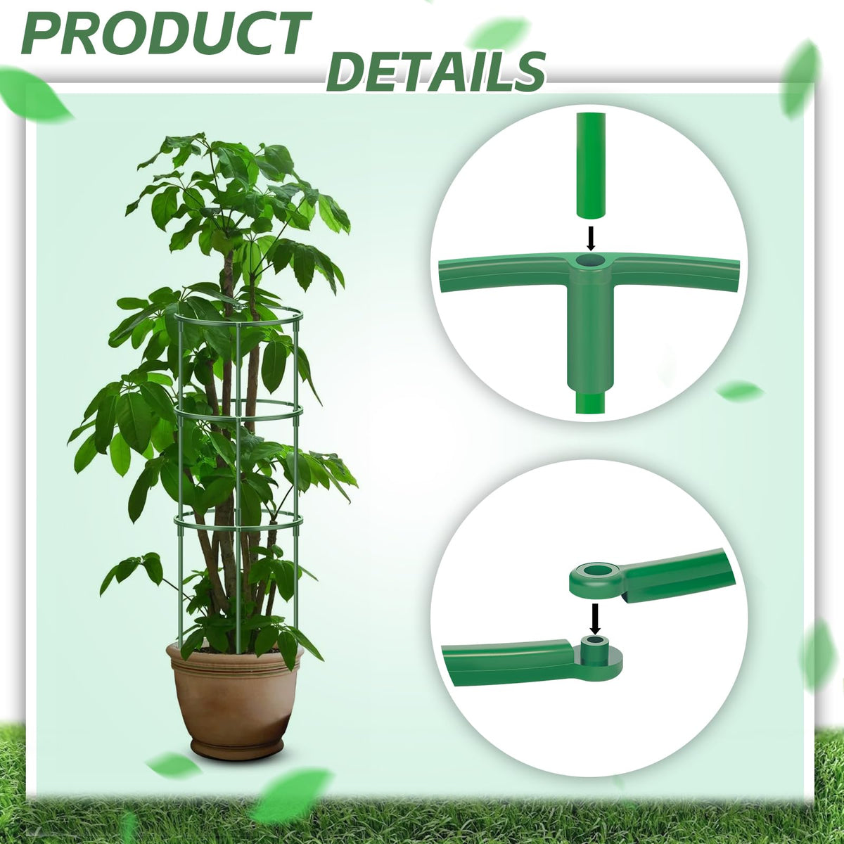 Versatile DI QIU REN stakes used with various plants like tomatoes and monstera