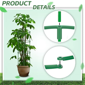 Versatile DI QIU REN stakes used with various plants like tomatoes and monstera
