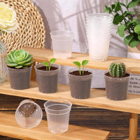 DI QIU REN propagation-friendly pots help nurture succulent cuttings and clones.