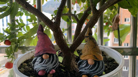 Dianreno gnomes wall decor adds a cheerful touch to cabinets and shelves.