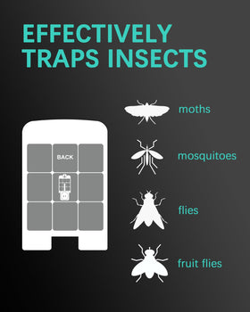Dichroma 23007 replacement sticky cards—captures mosquitoes and gnats effectively.