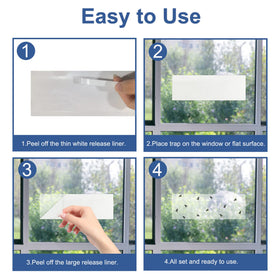 Dichroma suitable for kitchen and garage, catching fruit flies and gnats near surfaces.