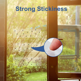 Dichroma transparent adhesive on window preserves light with no residue left behind.