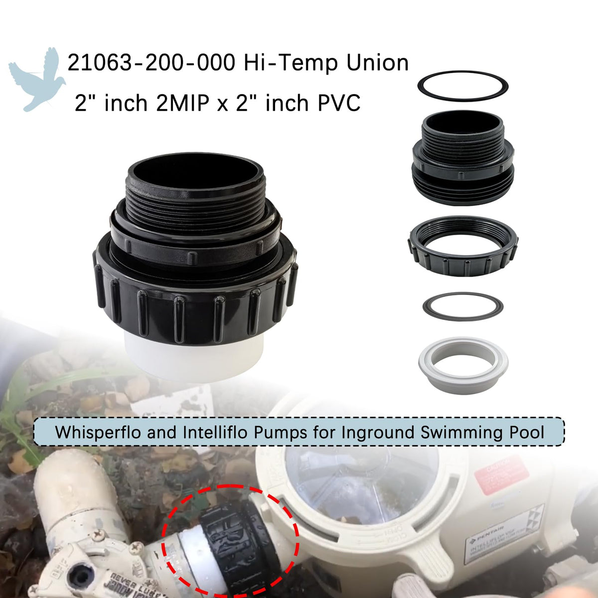 Dicsley 2 inch MIP threaded end ensures rigid, leak-free pump connection