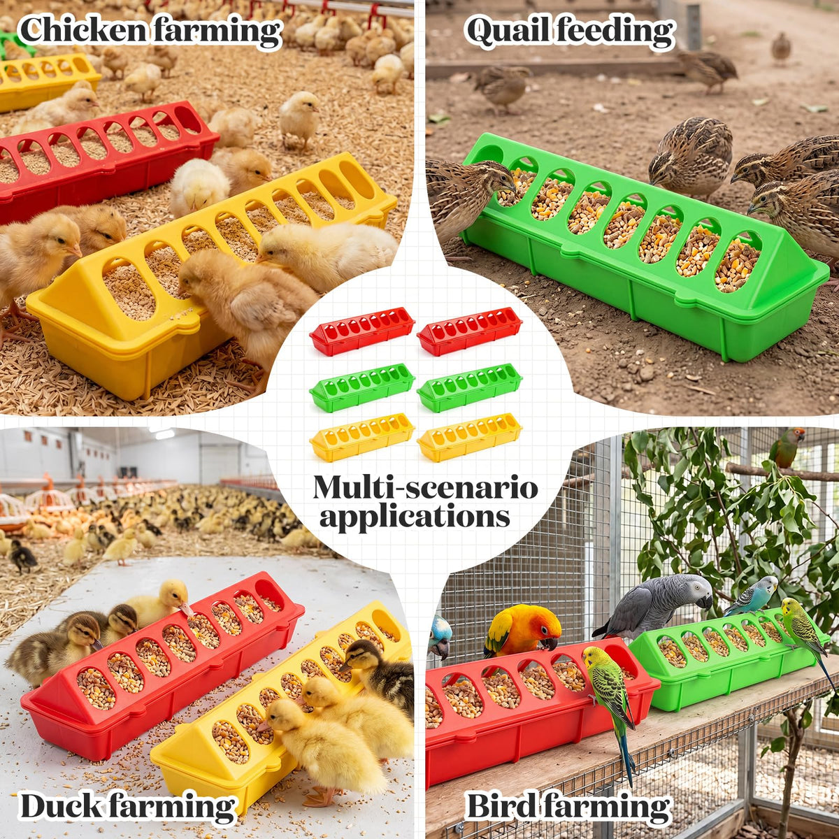 Didaey color-coded feeders suitable for chicks, ducklings, and pigeons.