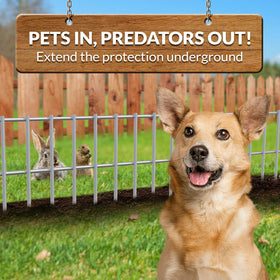 Dig Defence six-pack arranged along a yard border for pet safety.