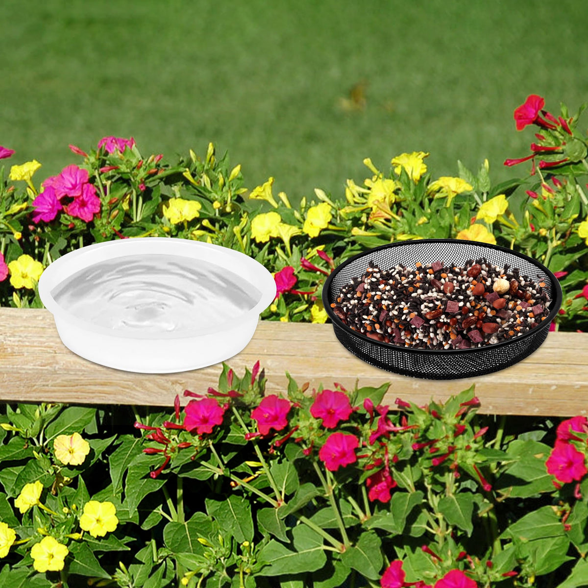DIGARDPRO backyard birds enjoying seed and water in a natural setting.