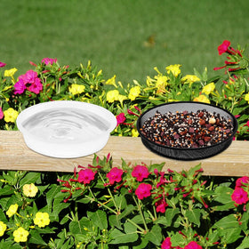 DIGARDPRO backyard birds enjoying seed and water in a natural setting.