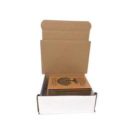 Digital Voyager seed packet back with planting tips for memory garden