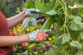 DIGZ padded-palm garden gloves reduce fatigue during work.
