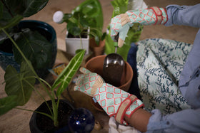 DIGZ gloves with touchscreen-compatible fingertips for easy pruning.