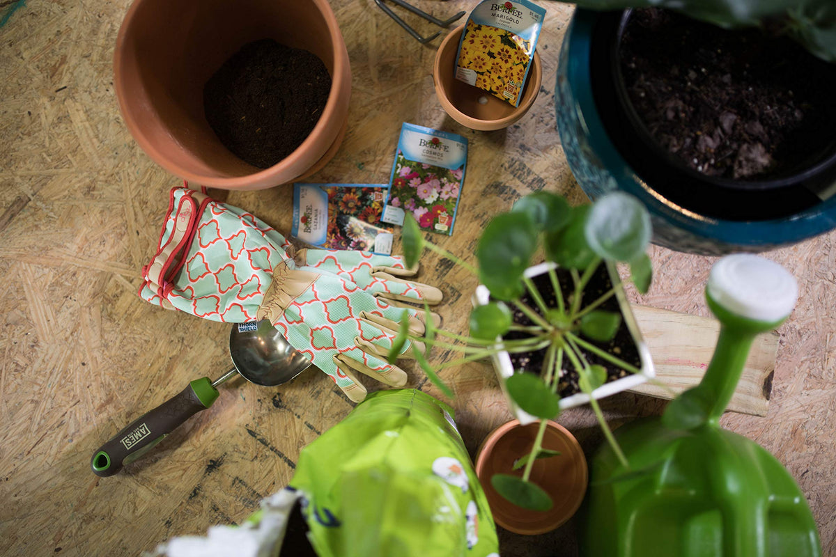 DIGZ Rose Pruning Gloves reinforced fingertips and palms for durability