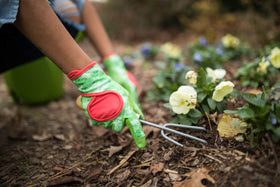 DIGZ women's gardening gloves with touchscreen fingertips for easy device use in the garden.