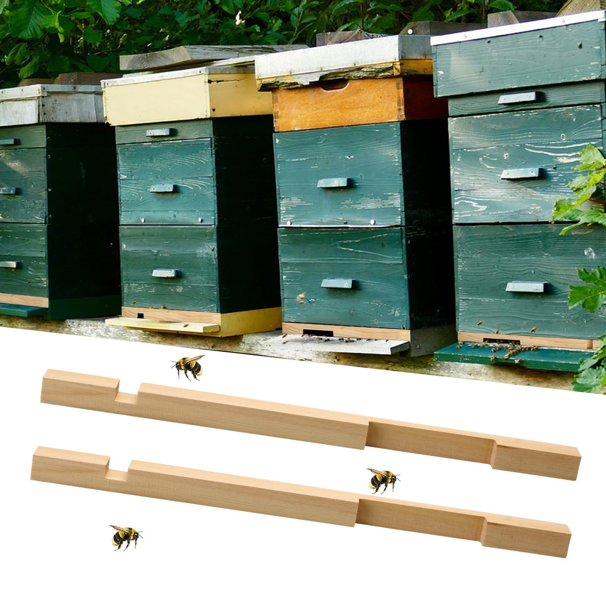 Two-notch opening design by DIICCYO allows adjustable bee entry and exit.