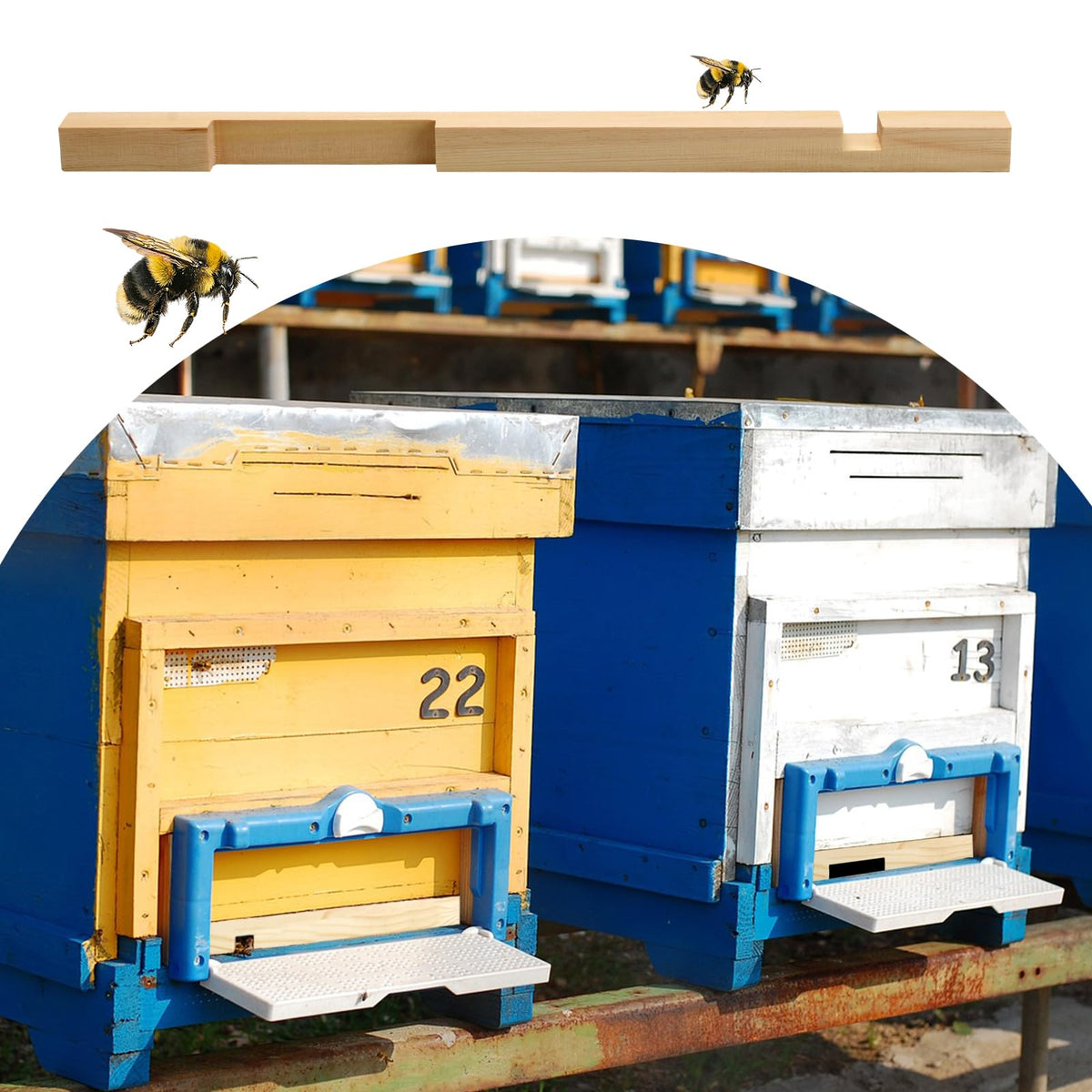 DIICCYO hive front mounted reducer reduces access and helps ventilation balance.