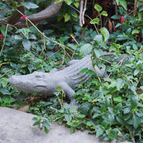 DiliComing 28-inch statue blends realism with charm for unique garden accents.