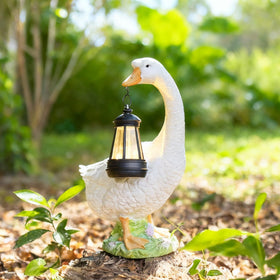 DiliComing patio lawn ornament adds rustic charm to outdoor spaces.