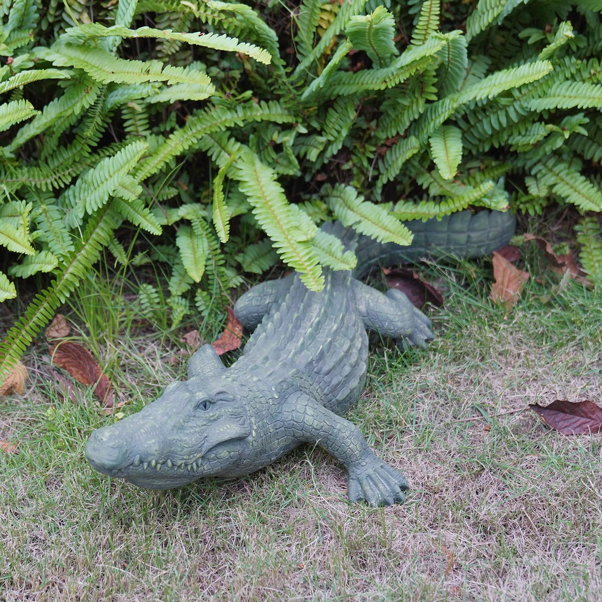DiliComing poolside decor alligator suits outdoor entertaining spaces.