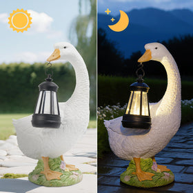 DiliComing solar-powered garden light for ambient walkway illumination.