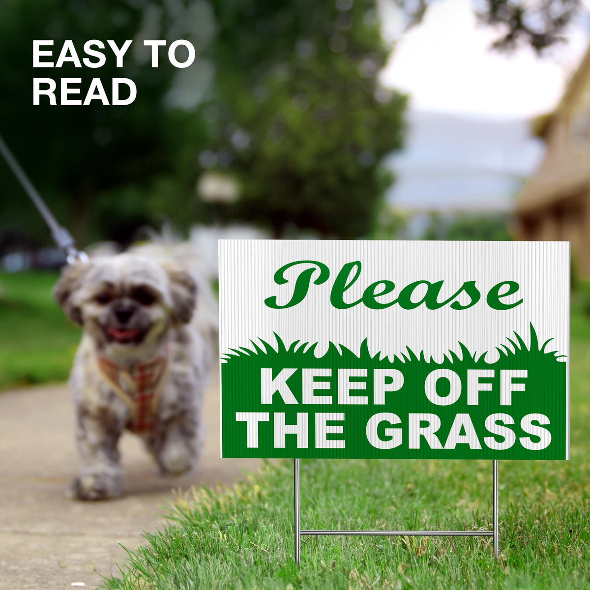 DIMARONGTON 6x9 lawn sign set designed for sidewalk readability.