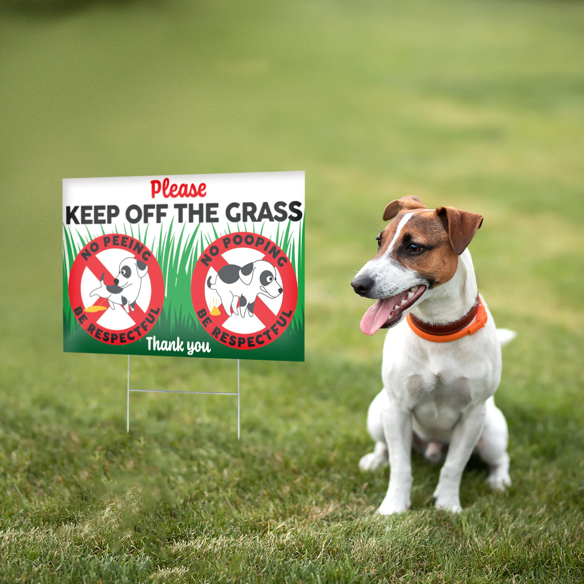 Dimarongton dog sign for yard use helps curb dogs from lawns