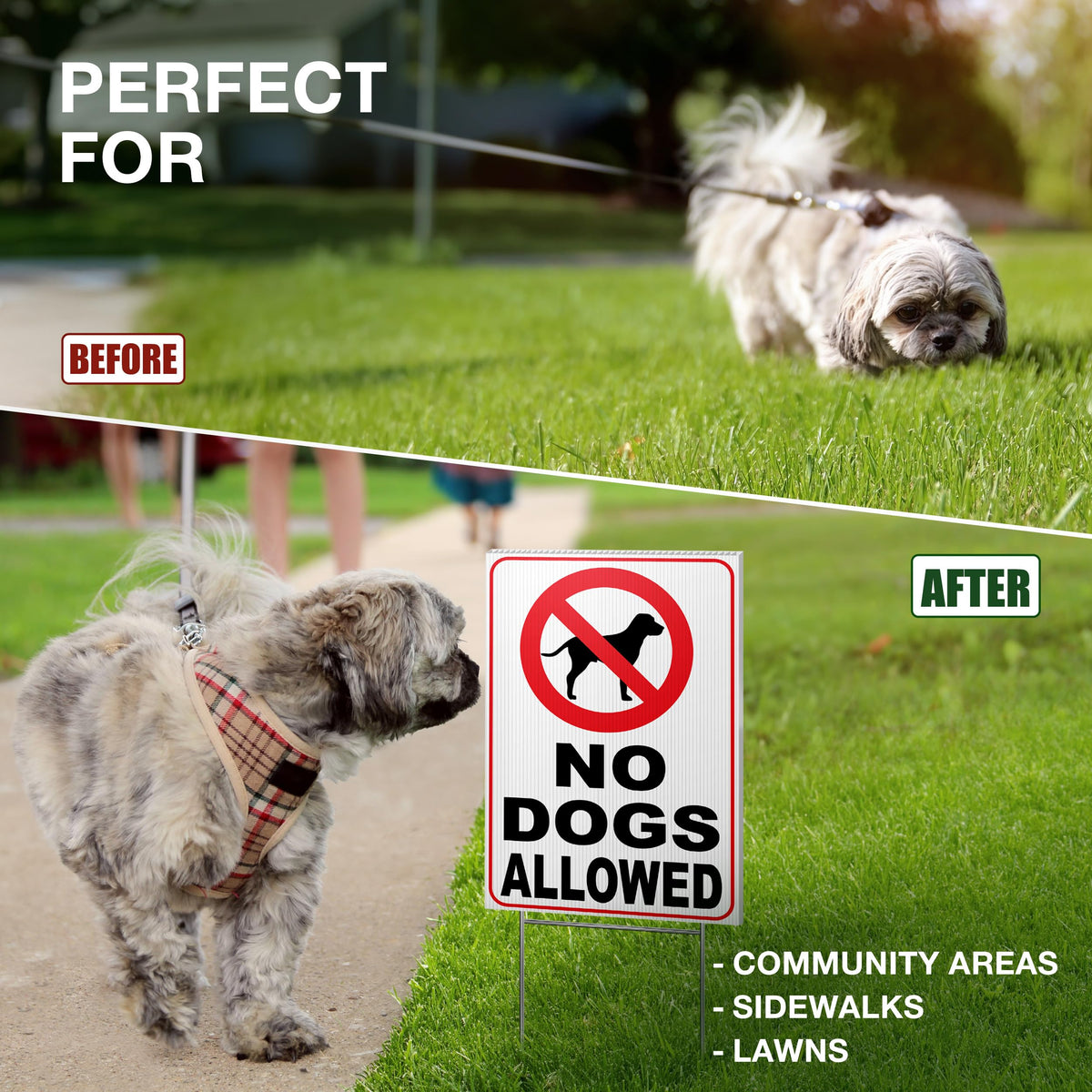 DIMARONGTON multipurpose no-dogs sign adapts to yard or commercial use.