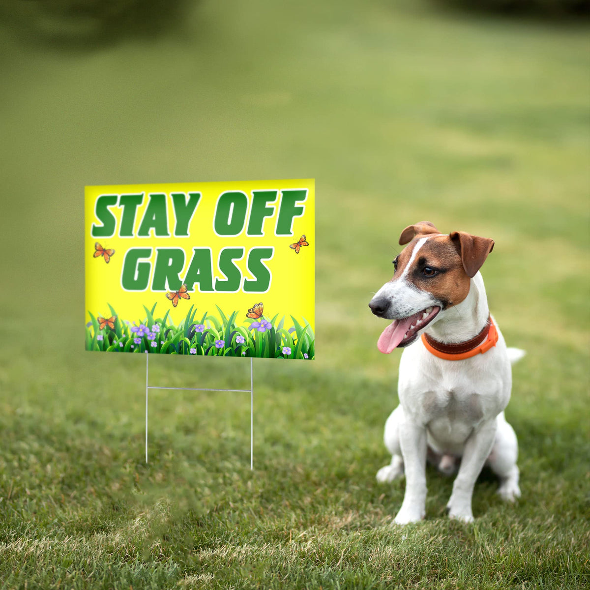 DIMARONGTON 8x12 inch signs stay legible in sun and weather for curb appeal.