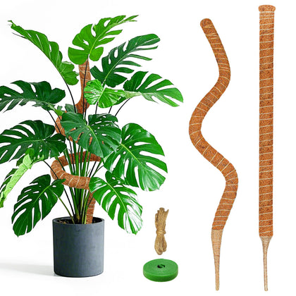 Dimpoo 2-pack moss pole supporting a Monstera climbing plant.