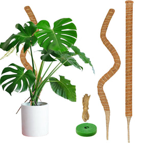 Dimpoo 47-inch moss pole with natural coir supports climbing plants