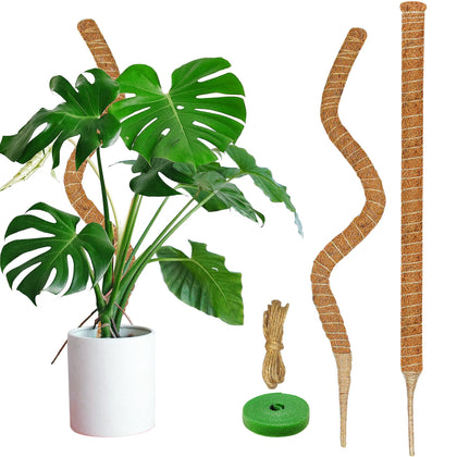Dimpoo 47-inch moss pole with natural coir supports climbing plants
