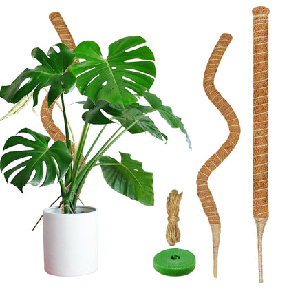 Dimpoo moss pole 35.4 inch setup supports climbing plants indoors.