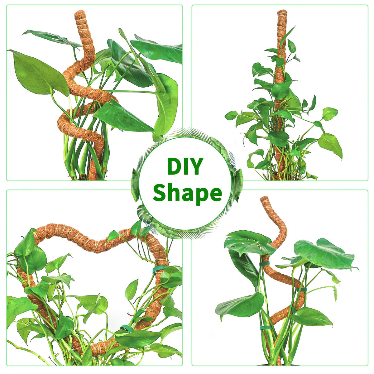 Dimpoo moss pole setup with jute rope and green tape.