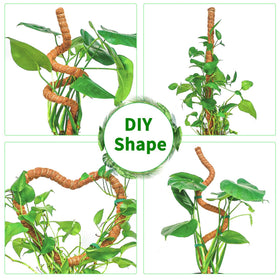 Dimpoo moss pole setup with jute rope and green tape.