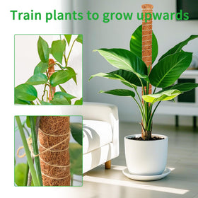 Dimpoo natural coconut coir supports air roots and moisture.