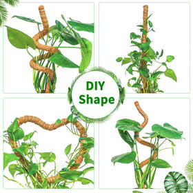 Dimpoo moss pole provides sturdy monstera vine support.