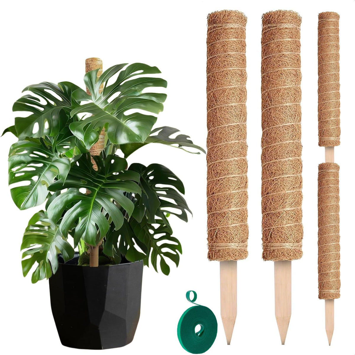 DIMROM moss pole 15-75 inch stackable Monstera climber supports upward growth and tidy aesthetics.
